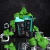 Double Spearmint Ice